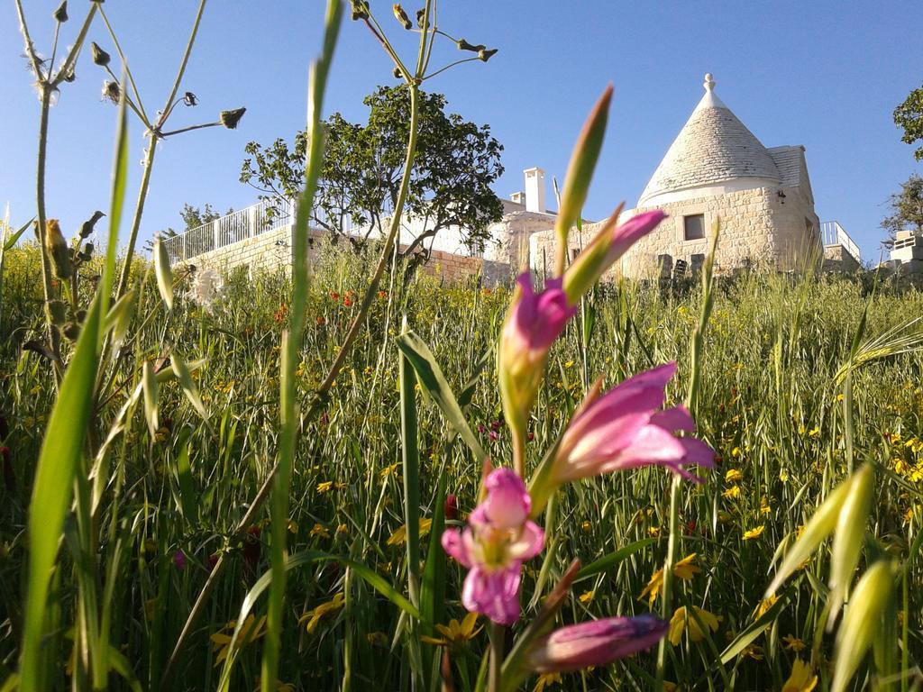 Cappelluzzo Βίλα Cisternino Εξωτερικό φωτογραφία